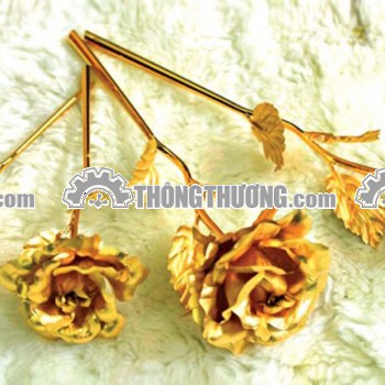 Bông hồng vàng Valentine